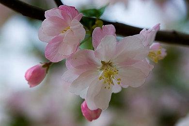 《消逝的光芒2》现已正式发售 上市宣传片欣赏